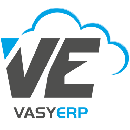 Vasy erp Logo